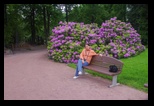 Helsinki -25-06-2015 - Bogdan Balaban